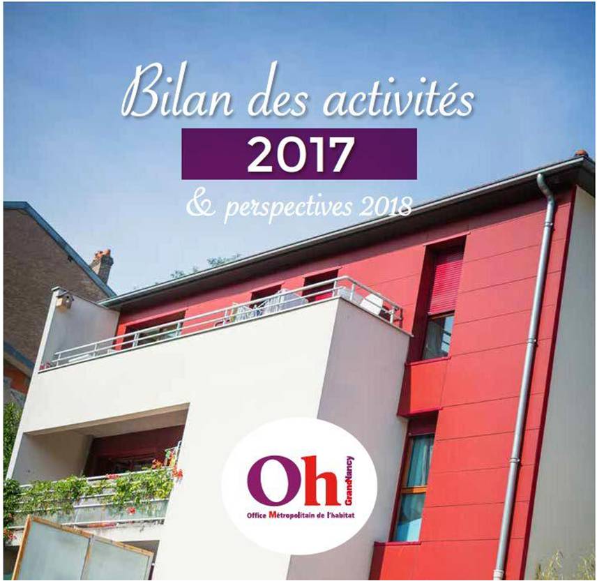 Bilan des activités 2017