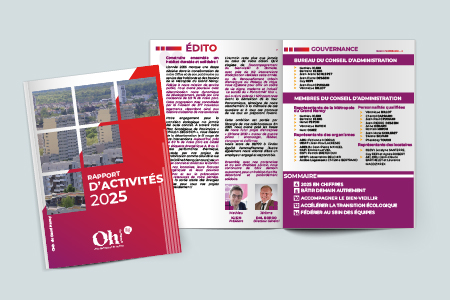 Rapport dactivité mock up