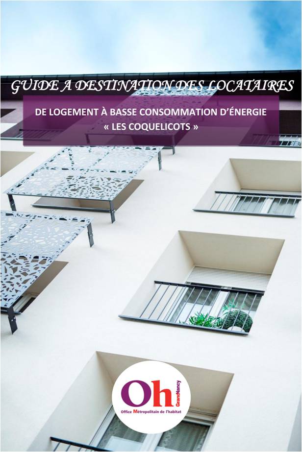 Guide à destination des locataires de logement à basse consommation d'énergie