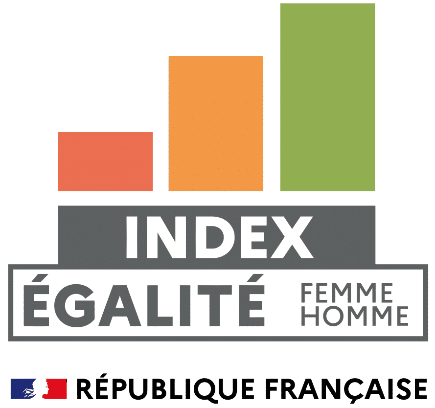 logo index egalite femme homme