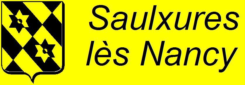 logo saulxures2